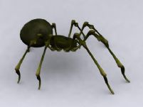 绿蜘蛛3D模型