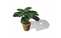 植物盆栽3D模型
