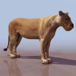 高精度狮子3D模型