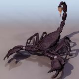 蝎子3D模型