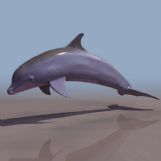 海豚鱼类3D模型