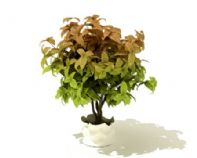 3D植物树木盆栽