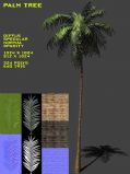 次时代游戏棕榈树3D模型