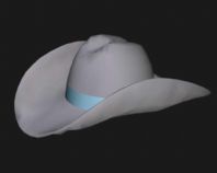 牛仔帽3D模型
