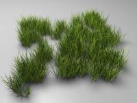 草丛，草地场景3D模型