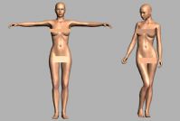 超精细女人体3D模型