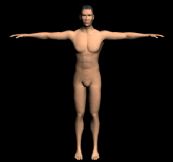 男人,男人体,人体3D模型