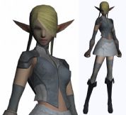 网络游戏天堂2女精灵战士角色3D模型