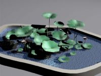 荷花池,荷花3D模型