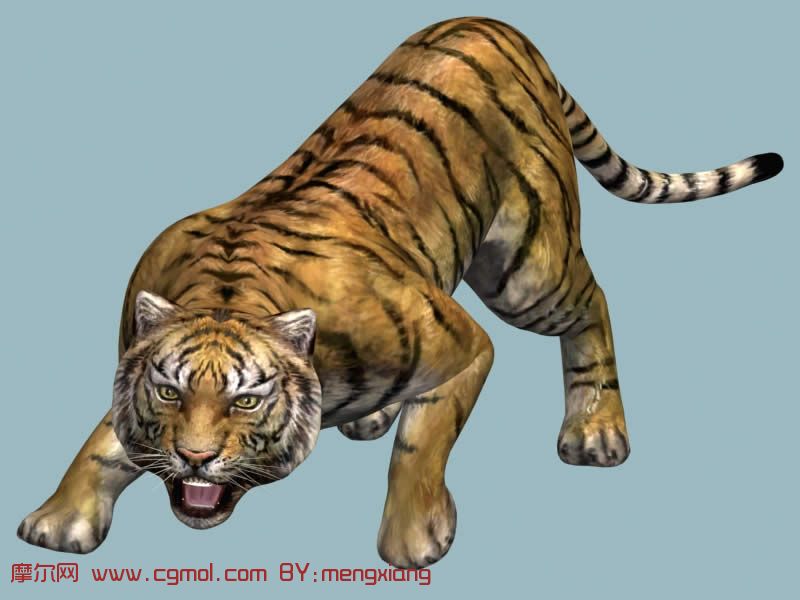 《真三国无双5》里面的山林老虎3d模型