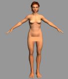 东方女性人体3D模型