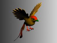 漂亮的小鸟3D模型