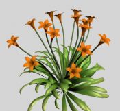 漂亮的小花植物3D模型