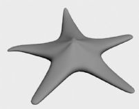 海星3D模型