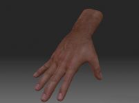 Hand一只手的3D模型