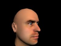 男性头部3D模型