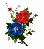 漂亮的红,蓝花朵,maya水墨模型