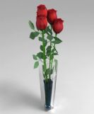 插在玻璃瓶中的四朵玫瑰花,max模型