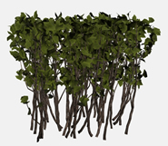 绿化灌木3d模型