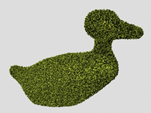像鸭子一样的植物花艺装饰3d模型