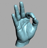 手,手掌,手势3d模型