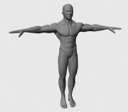 maya肌肉男,基础人体模型
