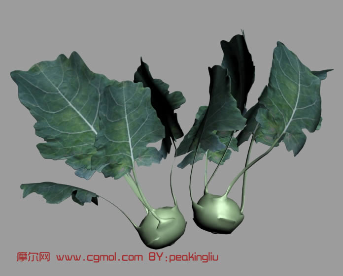 绿色蔬菜3D模型