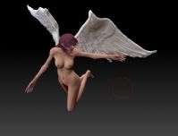 天使般的女人zb模型