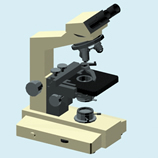双孔显微镜3D模型