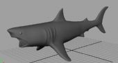 简单鲨鱼3D模型