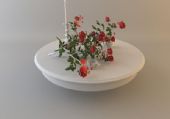 桌上的玫瑰,静物3D模型