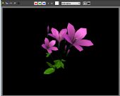 百合花,紫色小花3D模型