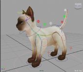 写实小猫maya模型(带绑定)