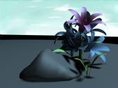 风信子,石头,花卉3D模型