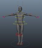 绑定好的男人体3D模型