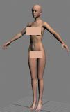 Angela基础女人体3D模型