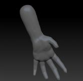 手掌,手臂3D模型