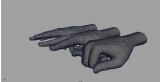 手,拳头,手指3D模型