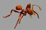 极品蚂蚁怪物,游戏BOSS模型(带骨骼绑定)