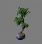 巴西木,植物,盆景3d模型