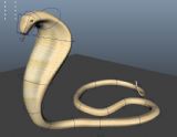 眼镜蛇,动物maya3d模型