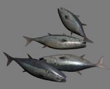 沙丁鱼3D模型