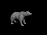 熊,动物max3d模型