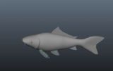 鱼,动画maya模型