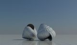 海螺,海洋贝壳,大田螺3D模型