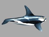 鲸鱼,动物max3d模型(带移动,攻击,死亡动画)