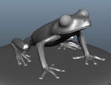 树蛙,毒箭蛙.动物maya模型