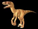 恐龙,动物 迅猛龙3d模型