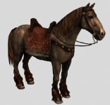 原创战马,马,动物模型3d模型