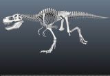 带行走,观望,奔跑动画的恐龙3D模型